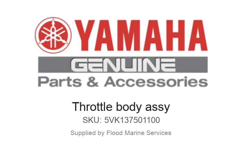 Throttle body assy
