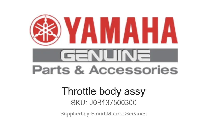 Throttle body assy