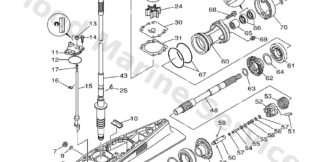 Genuine Yamaha 61A45301038D - Casing, lower - Supplied by Flood Marine