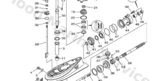 Genuine Yamaha 66T45311014D - Casing, lower - Supplied by Flood Marine