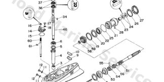 Genuine Yamaha 697455600000 - Gear 1 assy - Supplied by Flood Marine