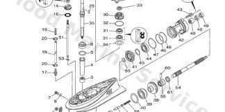 Genuine Yamaha 69W45301008D - Casing, lower - Supplied by Flood Marine