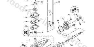 Genuine Yamaha 6EGG5361008D - Cap, lower casing - Supplied by Flood Marine