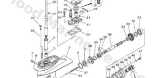 Genuine Yamaha 6L245361038D - Cap, lower casing - Supplied by Flood Marine