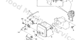 Genuine Yamaha 63W136100100 - Reed valve assy - Supplied by Flood Marine
