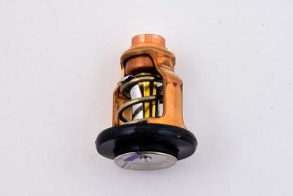 Genuine Yamaha - 67F124110100 - Thermostat