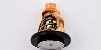 Genuine Yamaha - 6AW124110000 - Thermostat