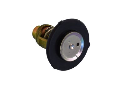 Genuine Yamaha - 6GR124110000 - Thermostat